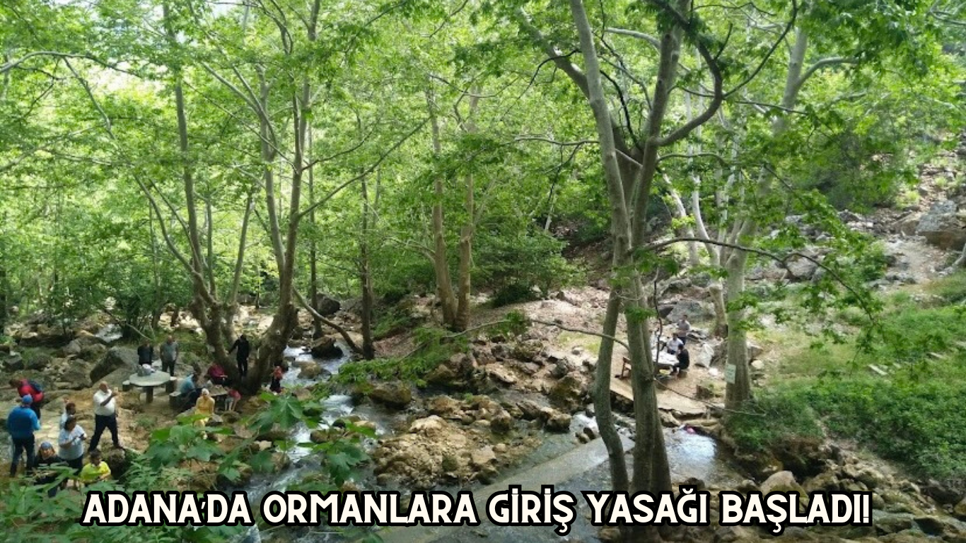 Adana’da Ormanlara Giriş Yasağı Başladı!