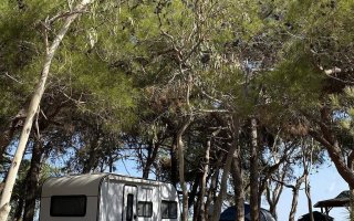 Çekme Karavan Hakkında Bilinmesi Gerekenler